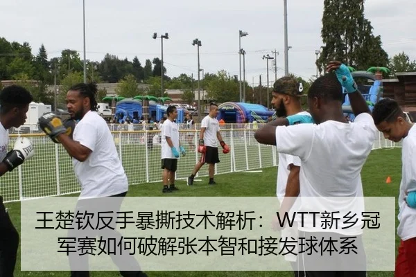 王楚钦反手暴撕技术解析：WTT新乡冠军赛如何破解张本智和接发球体系
