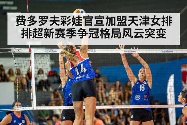 volleyball match arena